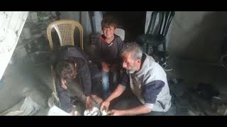 دعمكو#اطفال#غزه#فلسطين#العراق#سوريا#السودان#معاناه#المسلمين#ليك#مساعدات