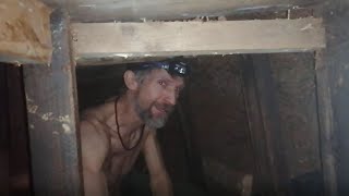 HS2 protesters evicted by police after building 100ft tunnel network under Euston station park - Vimarsana News