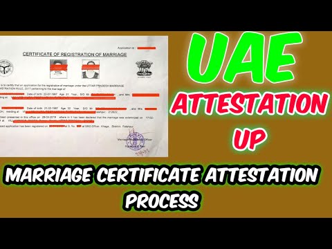 Degree Certificate Attestation For UAE, Qatar, Oman, Kuwait, Saudi In Nerul