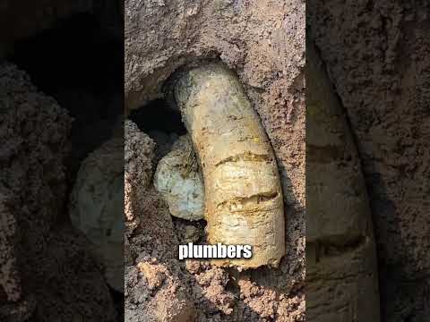 Не пользуйтесь туалетом для тако! 🤢