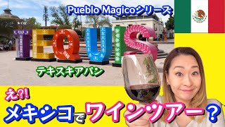 【メキシコ観光】ケレタロ州の穴場！チーズとワインの街〜TEQUISQUIAPAN〜
