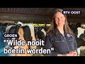 De koeien van Ellen gaan na 17 (!) jaar naar buiten | RTV Oost