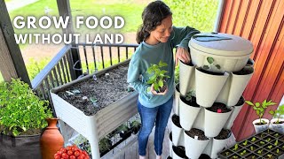 Turn Your Porch into a Grocery Store! (Simple Container Gardening)