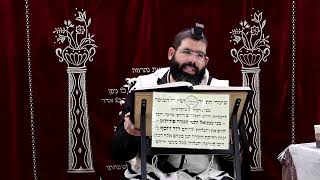 זבחים דף קי"ז ע"א ¤ הרב נתנאל אברז'ל ¤ בית הכנסת "בית מרדכי" (מוסדות תורת דוד) - התמונה מוצגת ישירות מתוך אתר האינטרנט יוטיוב. זכויות היוצרים בתמונה שייכות ליוצרה. קישור קרדיט למקור התוכן נמצא בתוך דף הסרטון