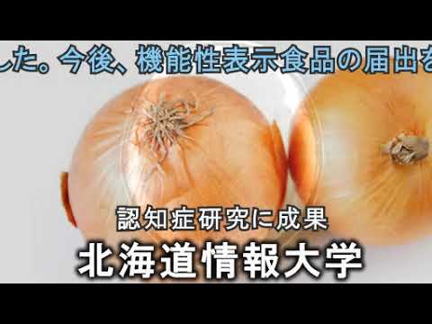 情報メディア学科 ＜2021年7月号＞HIUキャンパス便り