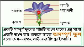 SSC/ SB. BIO/ CH.11/ ML 