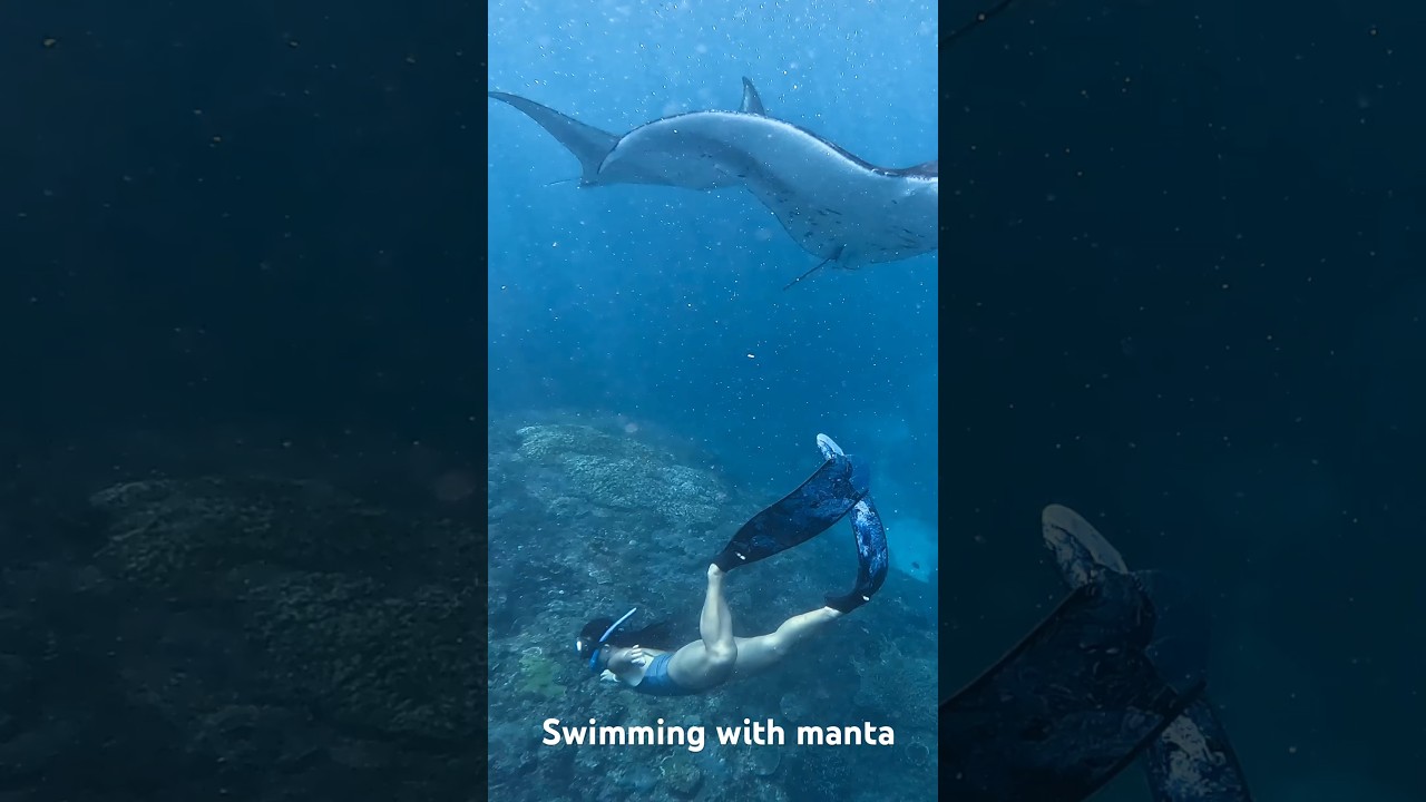 YouTube Short thumbnail