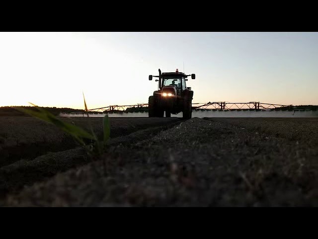 «Раздолье»