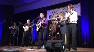 The Plager Boys - Ring The Bell