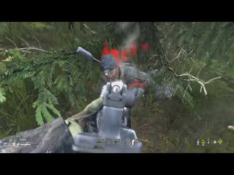 DAYZ VANILLA random pvp compilation