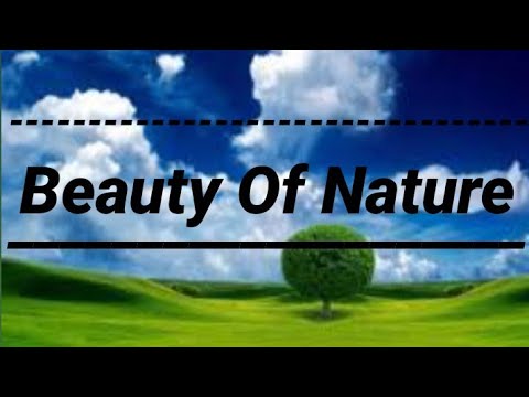 Beauty of Nature । time lapse created by vivo Y17।