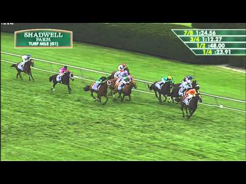2015 Shadwell Turf Mile (G1)