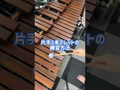 地味に難しい、片手2本マレットの練習方法🦶 #マリンバ #打楽器 #吹奏楽