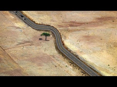 Amazing Ways Mankind Has Respected The Natural World