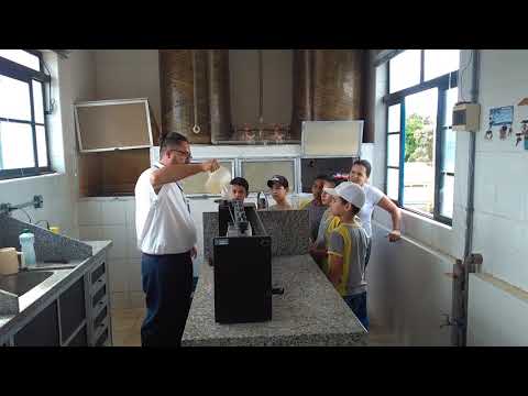 DMAAE OURO FINO EM FOCO - 22-03-2018