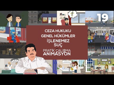 General Provisions of Criminal Law - Practical Work 19 (Uncommittable Crime)