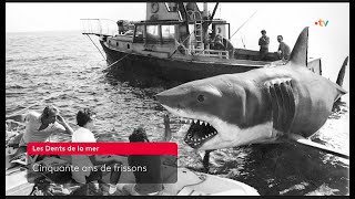 🦈Les Dents de la mer : retour sur 5️0 ans de frissons, un chef-d’œuvre cinématographique - 9/06/2025