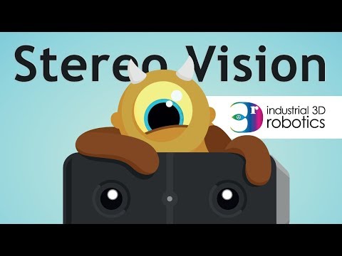Clumsy Cyclops- How does Stereo Vision work?