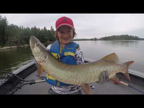 2023 Lund 1875 Pro-V Musky XS in Knoxville, Tennessee - Video 1