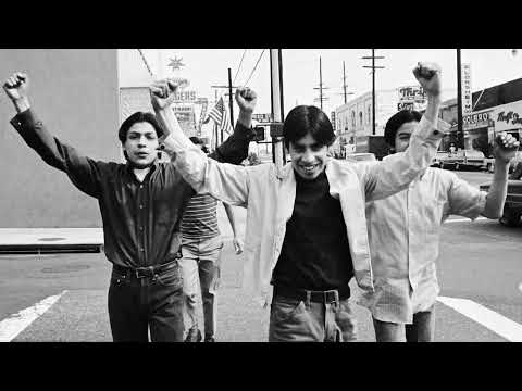 "What Is a Chicano?" A Brief History and Analysis of Chicanos