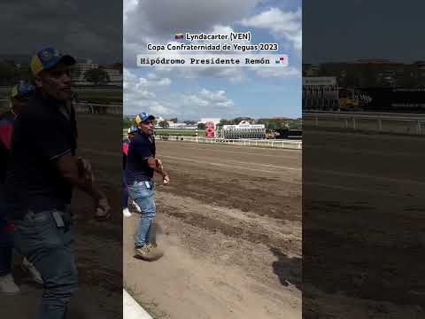 🇻🇪 Lyndacarter (VEN) - Copa Confraternidad de Yeguas 2023 #diezfurlongs #horseracing #caballos