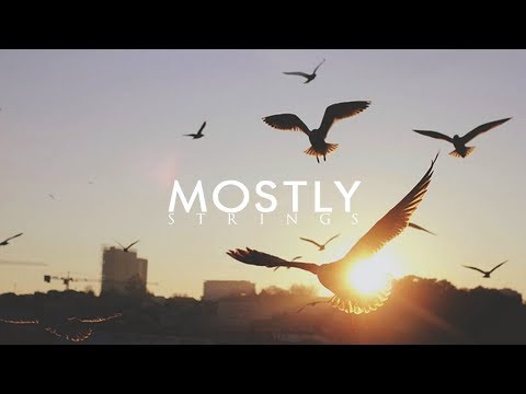 East Love - Birds