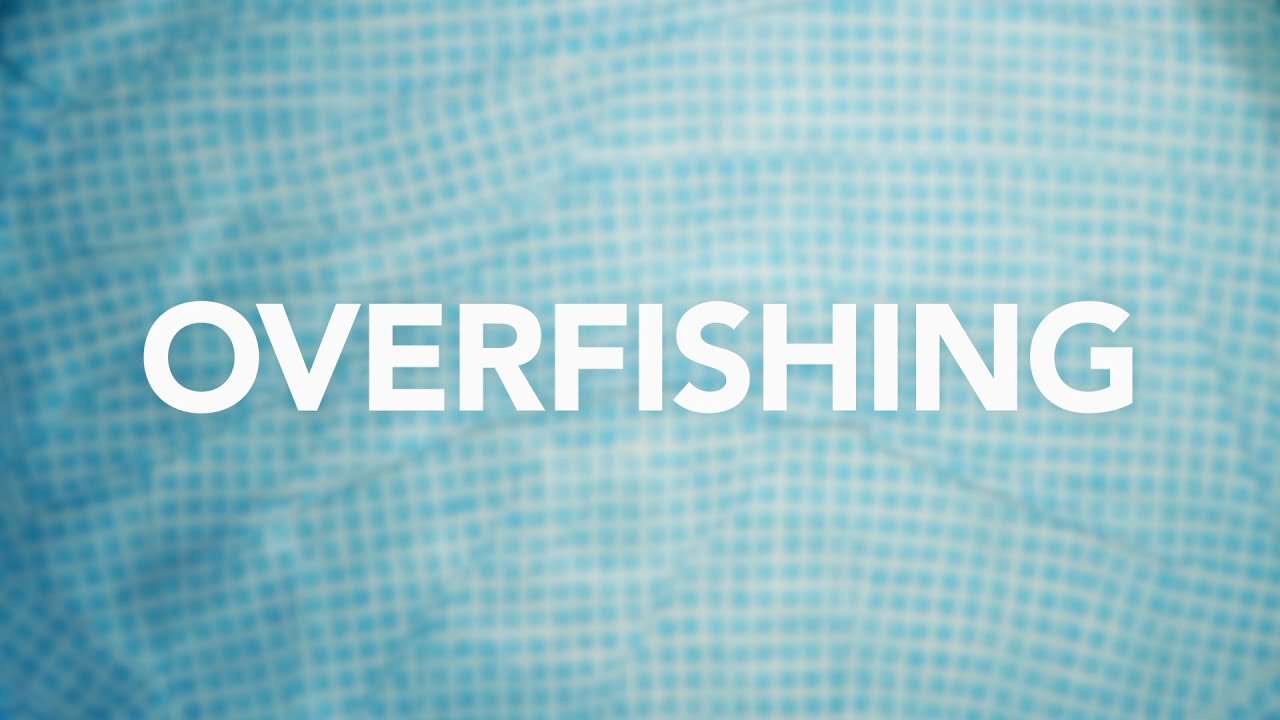 Overfishing