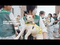 Clip 3