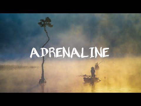 Adrenaline - VENICE x miles away x Karra lyrics
