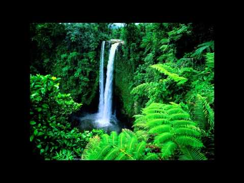 Le Nonu - Faasao & Marist Choir (Harry Miller)