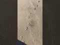 DOG FOOTPRINT IN THE SAND