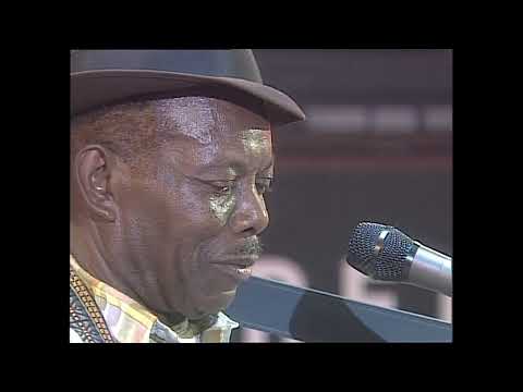 Thumbnail for Archie Edwards - Sanremo Blues 1990 by Archie Edwards