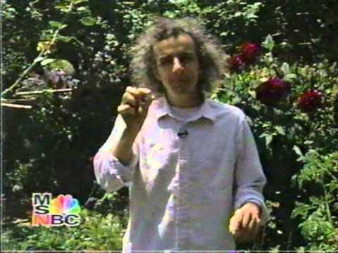 Clifford Stoll - Why is the sky blue?