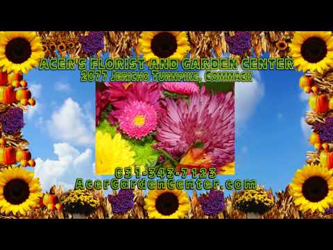 Acer's Florist & Garden Center - Fall Season