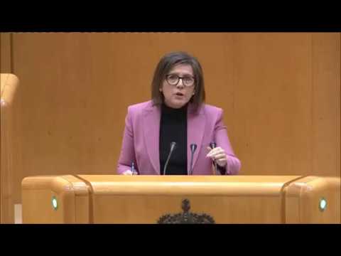 Angulo habla de El Hueco en el Senado.