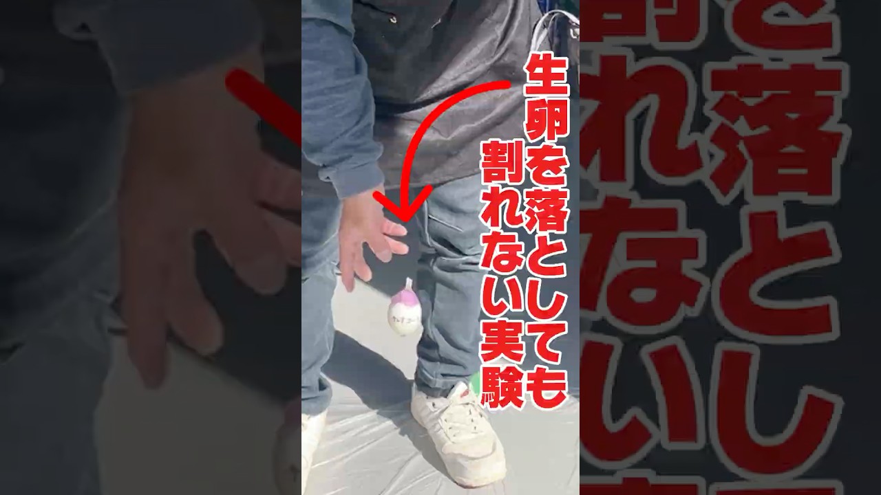 卵に塗装して落としたら…割れる？割れない？#キレイエ20ウレア― #外壁塗装 #塗装実験 #耐衝撃 #ユウ建装