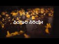 Singara Siriye Kantara Feeling Romantic Love WhatsApp Status Video In Kannada