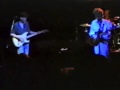 The Feelies - Last Roundup