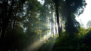 Danny Brown - Red 2 Go (417hz)