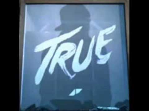 Avicii Ft  Salem Al Fakir   Shame on Me #TRUE Album]