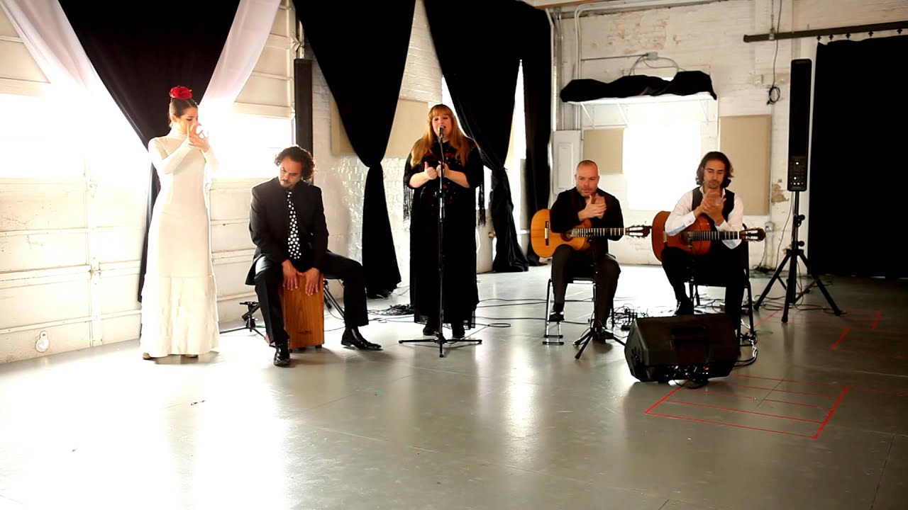 Promotional video thumbnail 4 for The Martin Metzger Flamenco Ensemble