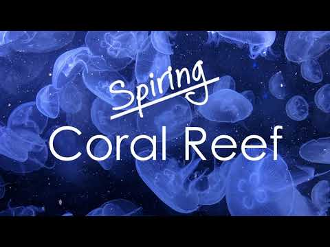 Spiring - Coral Reef [Tropical House]