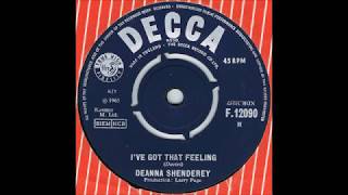 Deanna Shenderey - I&#39;ve Got That Feeling (Decca 1965) Kinks cover