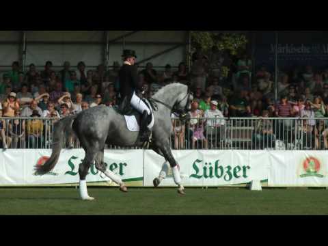 Isabell Werth und DSP Belantis am 10.09.2016 zur Hengstparade in Neustadt (Dosse)