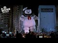 Ghostbusters VS The Stay Puft Marshmallow Man Ghostbusters Dan Aykroyd Bill Murray