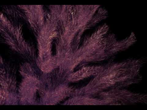 Coral Vortex Subpix CT Scan