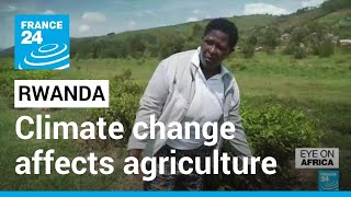 Rwanda is one of the most affected country by climate change on the African continent • FRANCE 24
