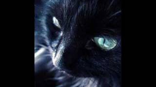 Black Cat Blues