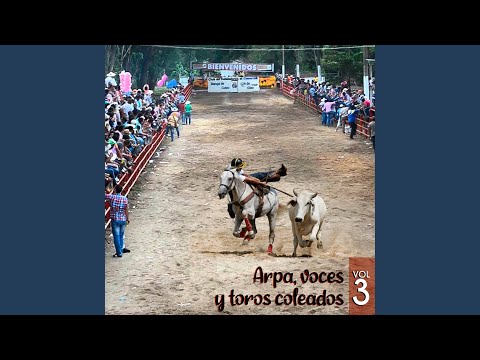 Desafio en los Corrales