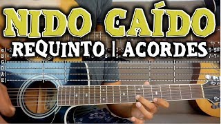 Tutorial | Nido caído | Miguel y Miguel | Requinto | Acordes | TABS
